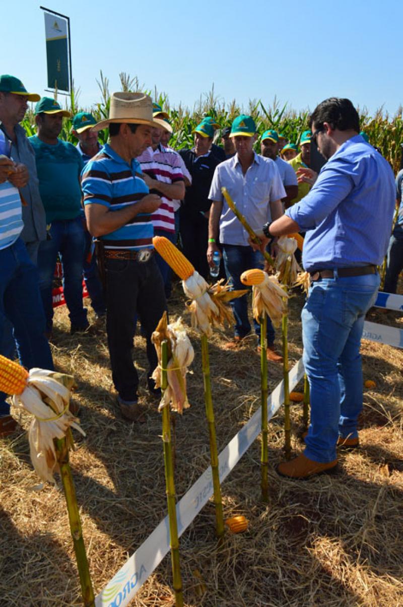 Coopermota Sempre Ao Lado Do Agricultor Campocooper Em Bernardino