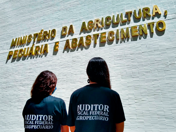 Caso de febre aftosa na Alemanha deixa auditores fiscais federais agropecuários em alerta