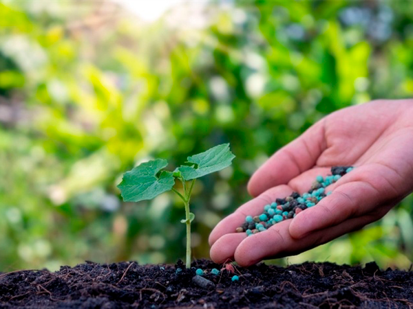 Fertilizantes em alta: preços sobem e elevam custos para produtores